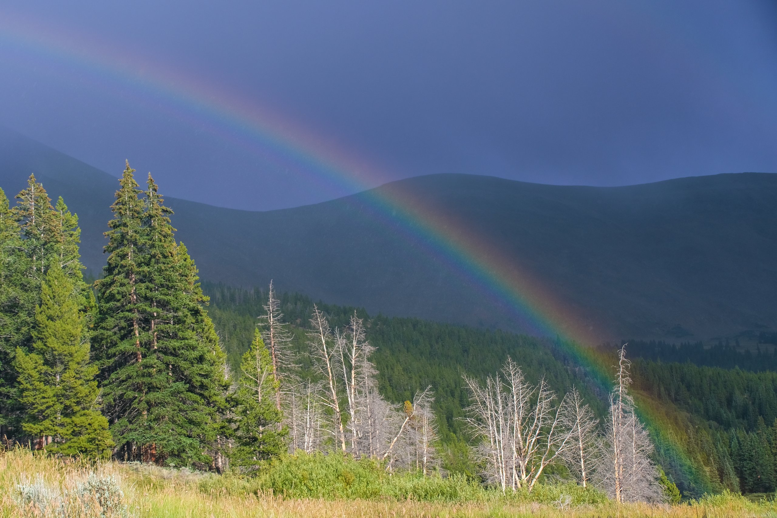 Landscape & Wilderness photograph by Craig Goodwin