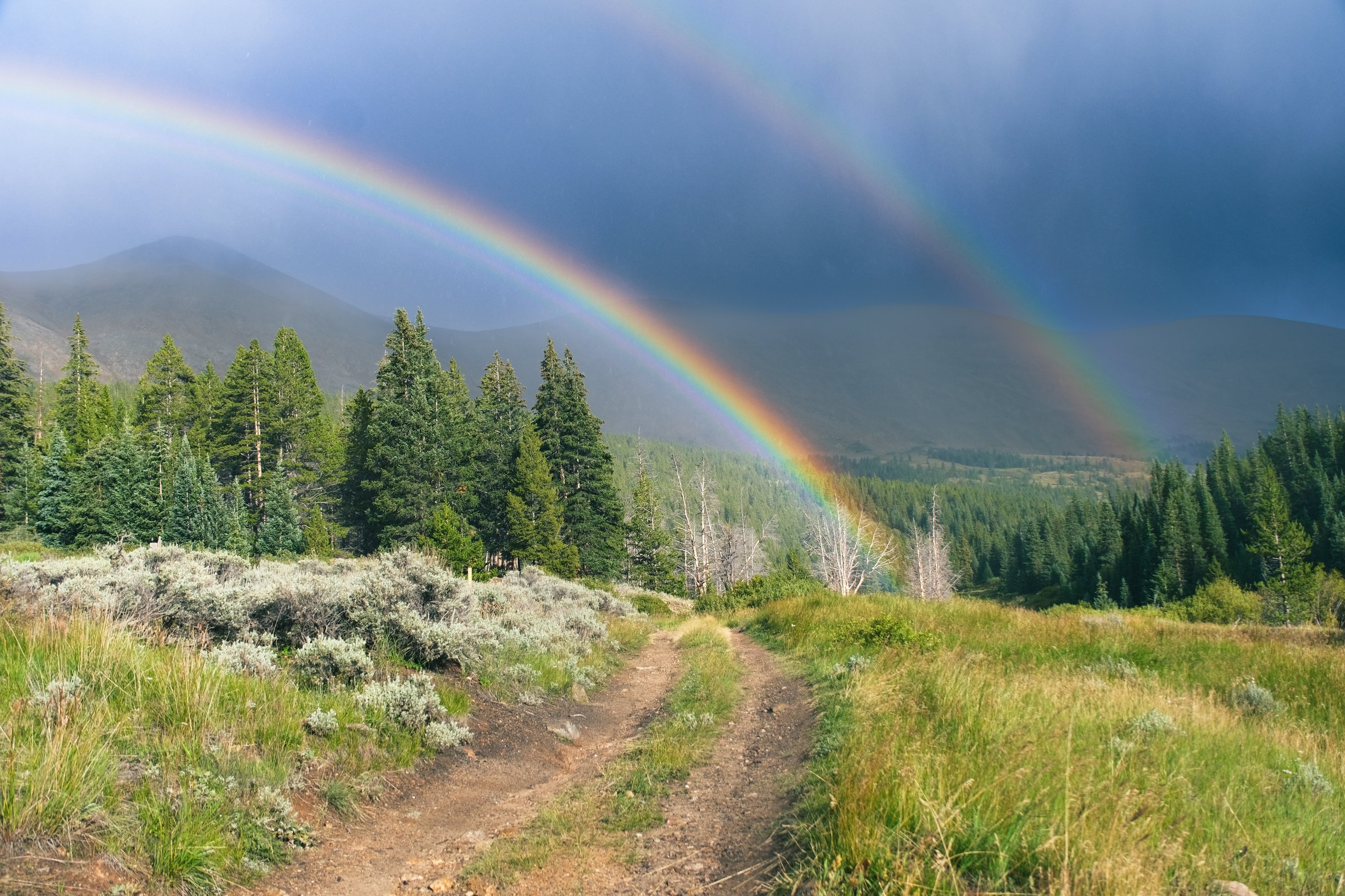 Landscape & Wilderness photograph by Craig Goodwin