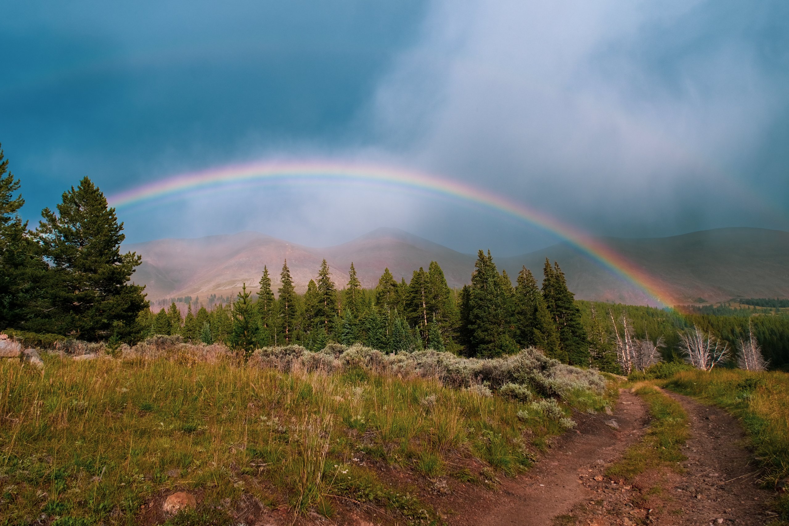 Landscape & Wilderness photograph by Craig Goodwin