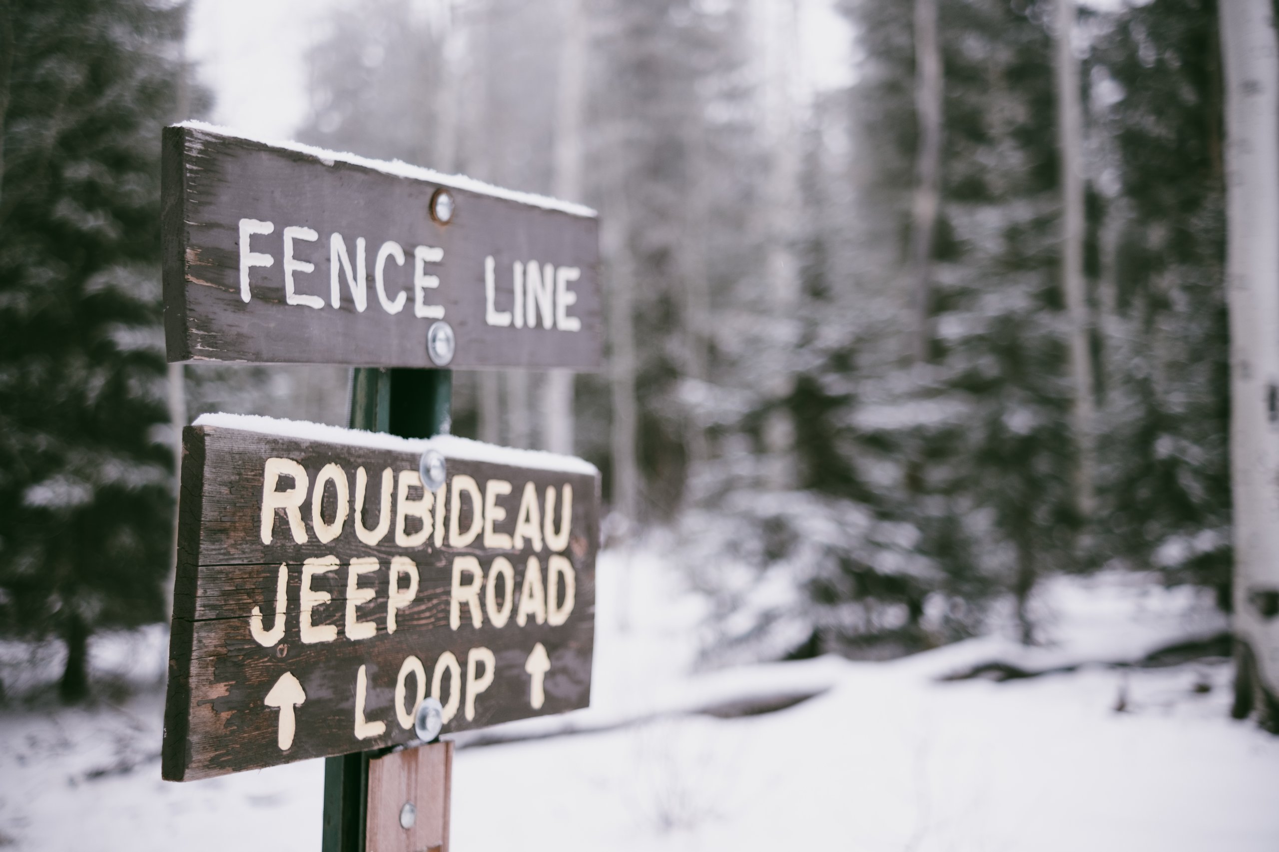 Landscape & Wilderness photograph by Craig Goodwin