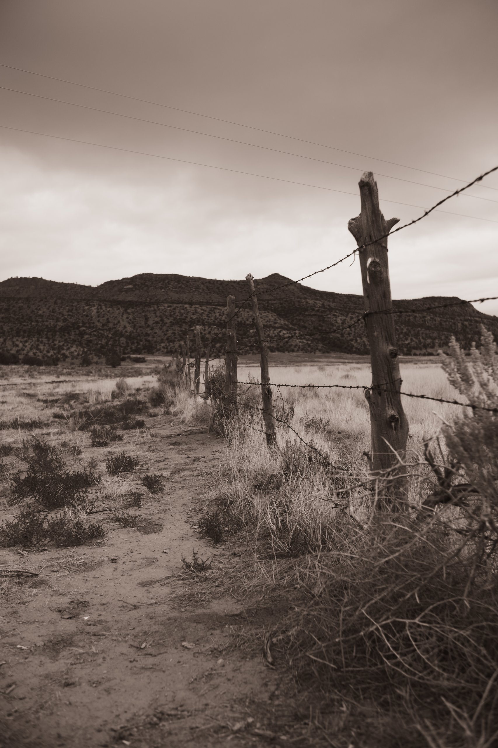 Landscape & Wilderness photograph by Craig Goodwin
