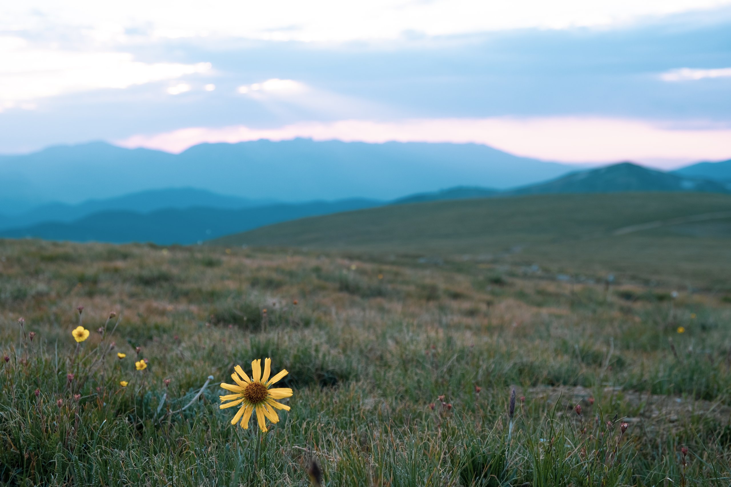 Landscape & Wilderness photograph by Craig Goodwin