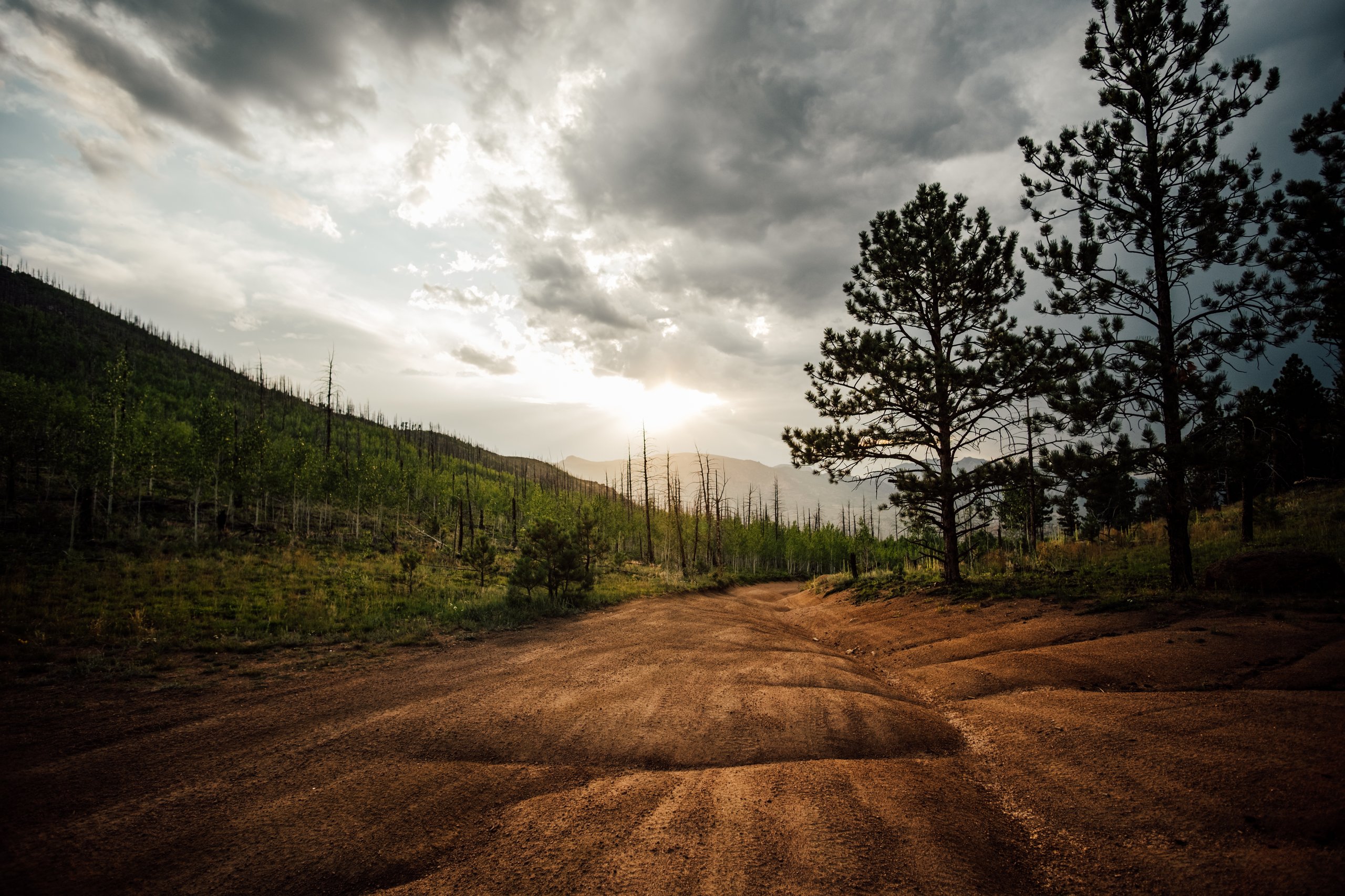 Landscape & Wilderness photograph by Craig Goodwin