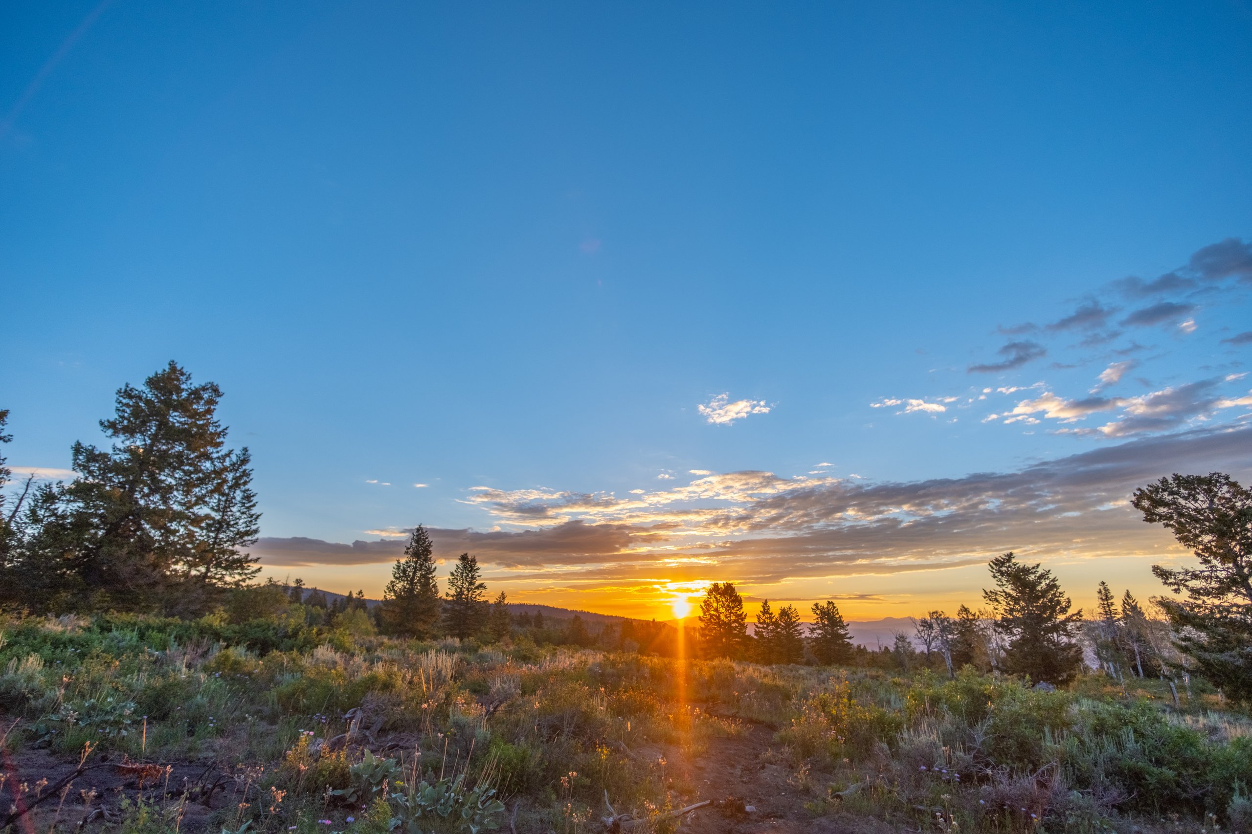 Landscape & Wilderness photograph by Craig Goodwin