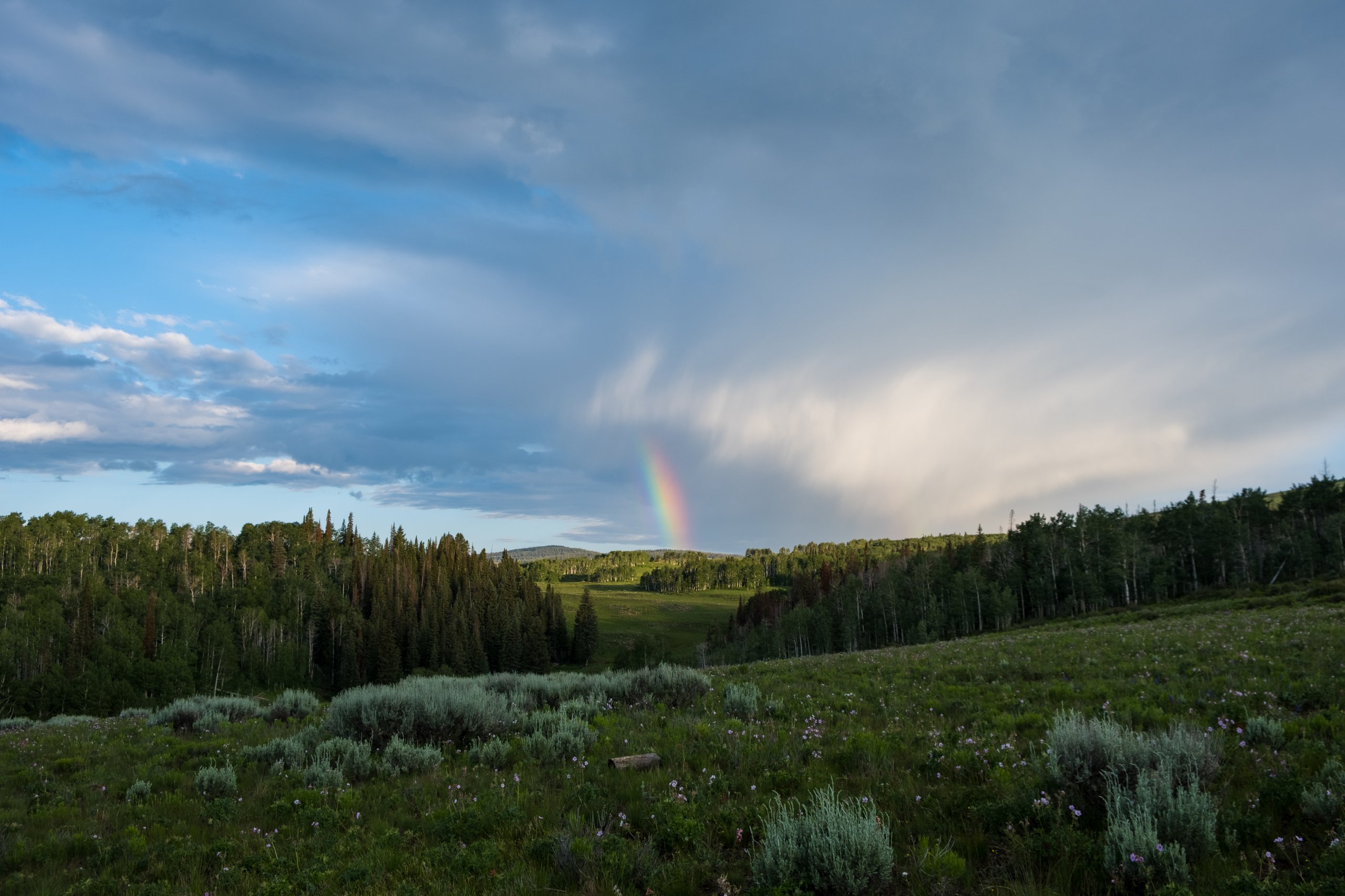 Landscape & Wilderness photograph by Craig Goodwin