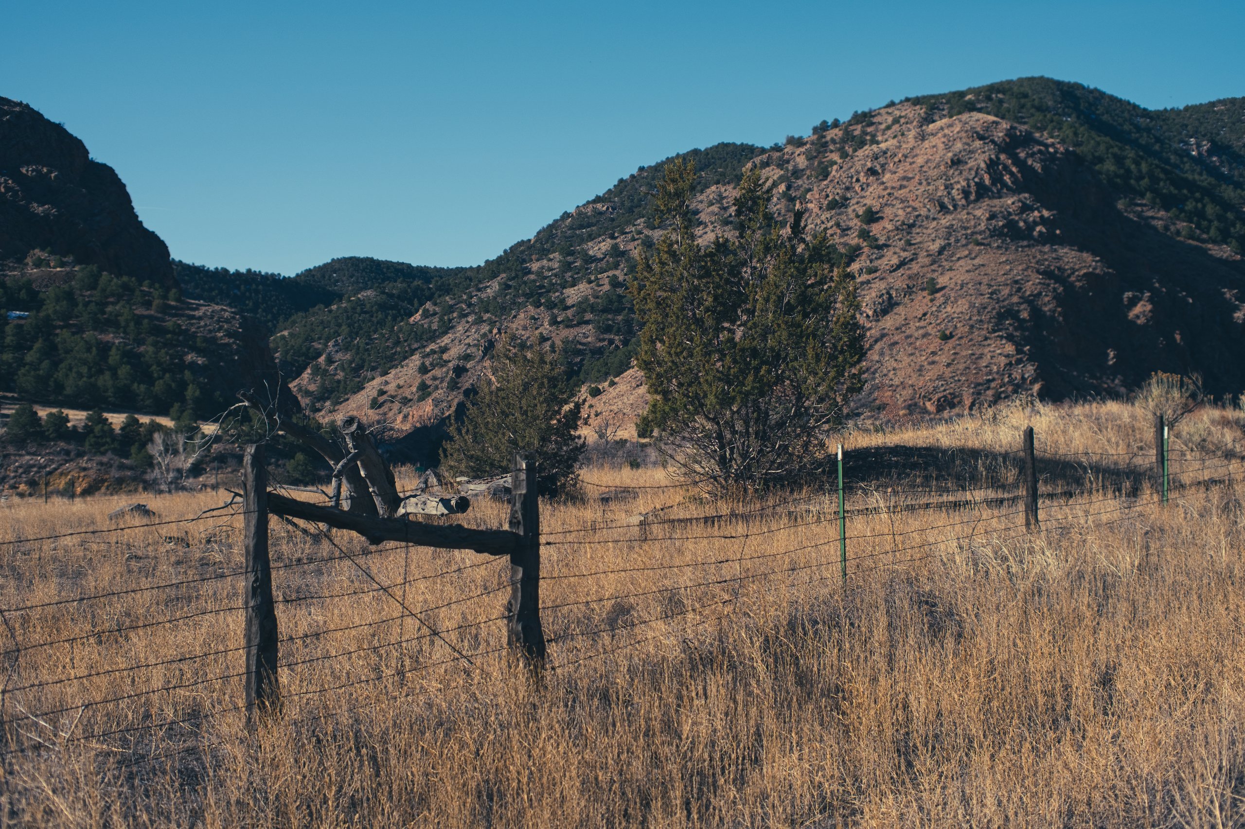 Landscape & Wilderness photograph by Craig Goodwin