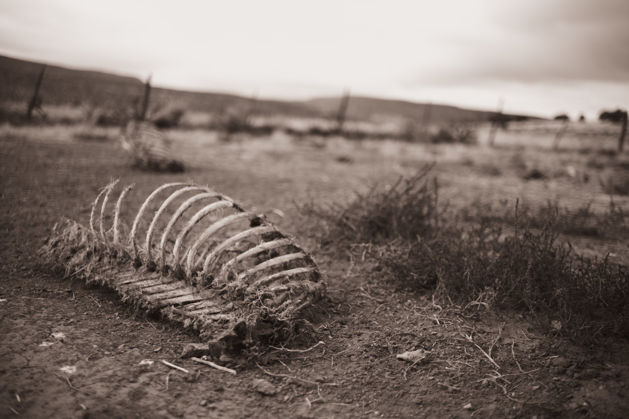 Mines & Ruins photograph by Craig Goodwin