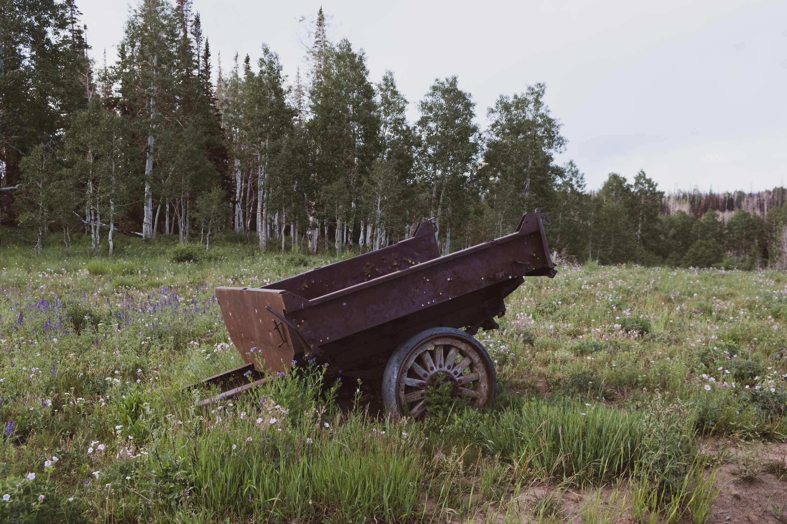 Mines & Ruins photograph by Craig Goodwin