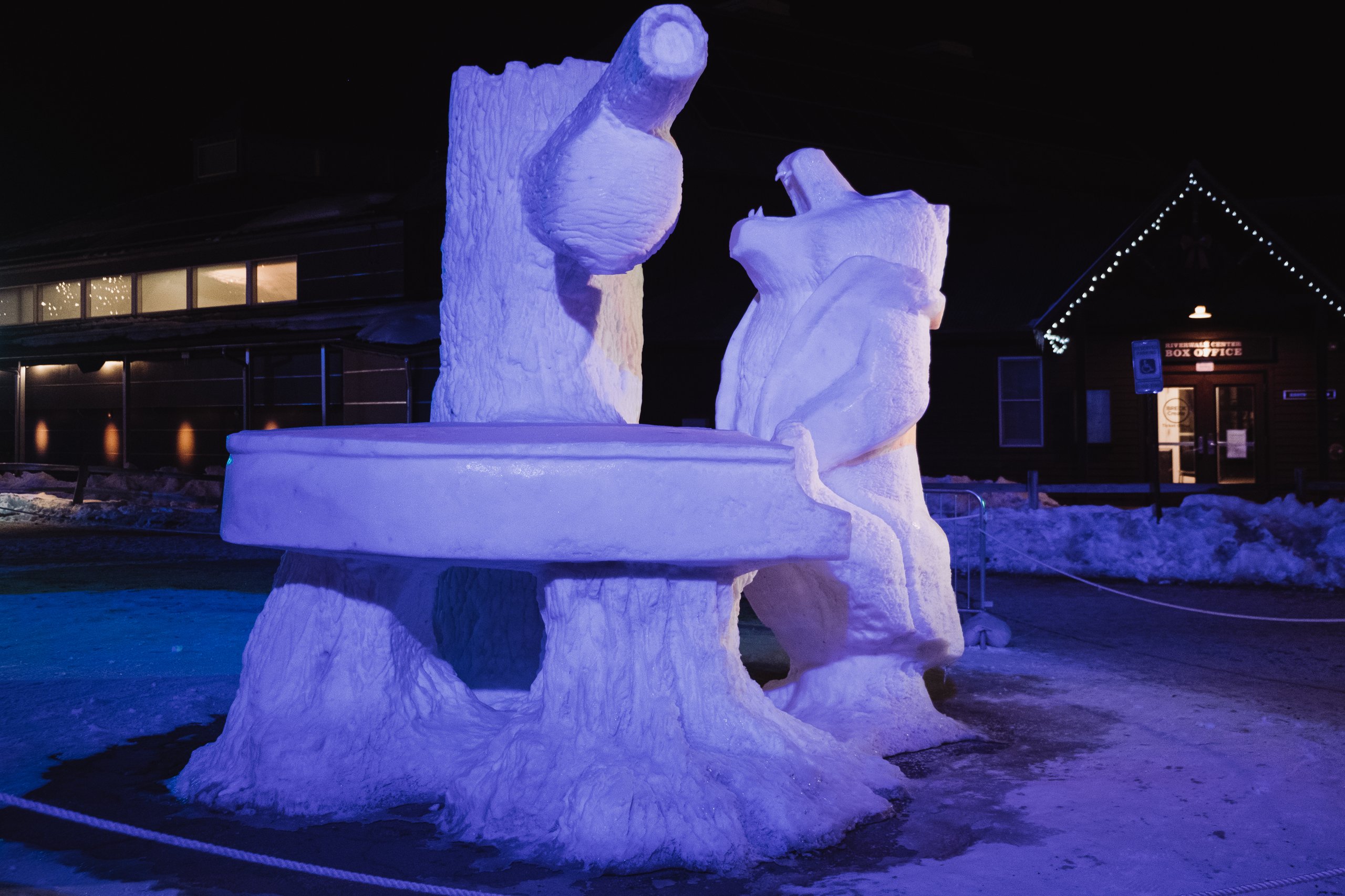 Snow Sculptures photograph by Craig Goodwin