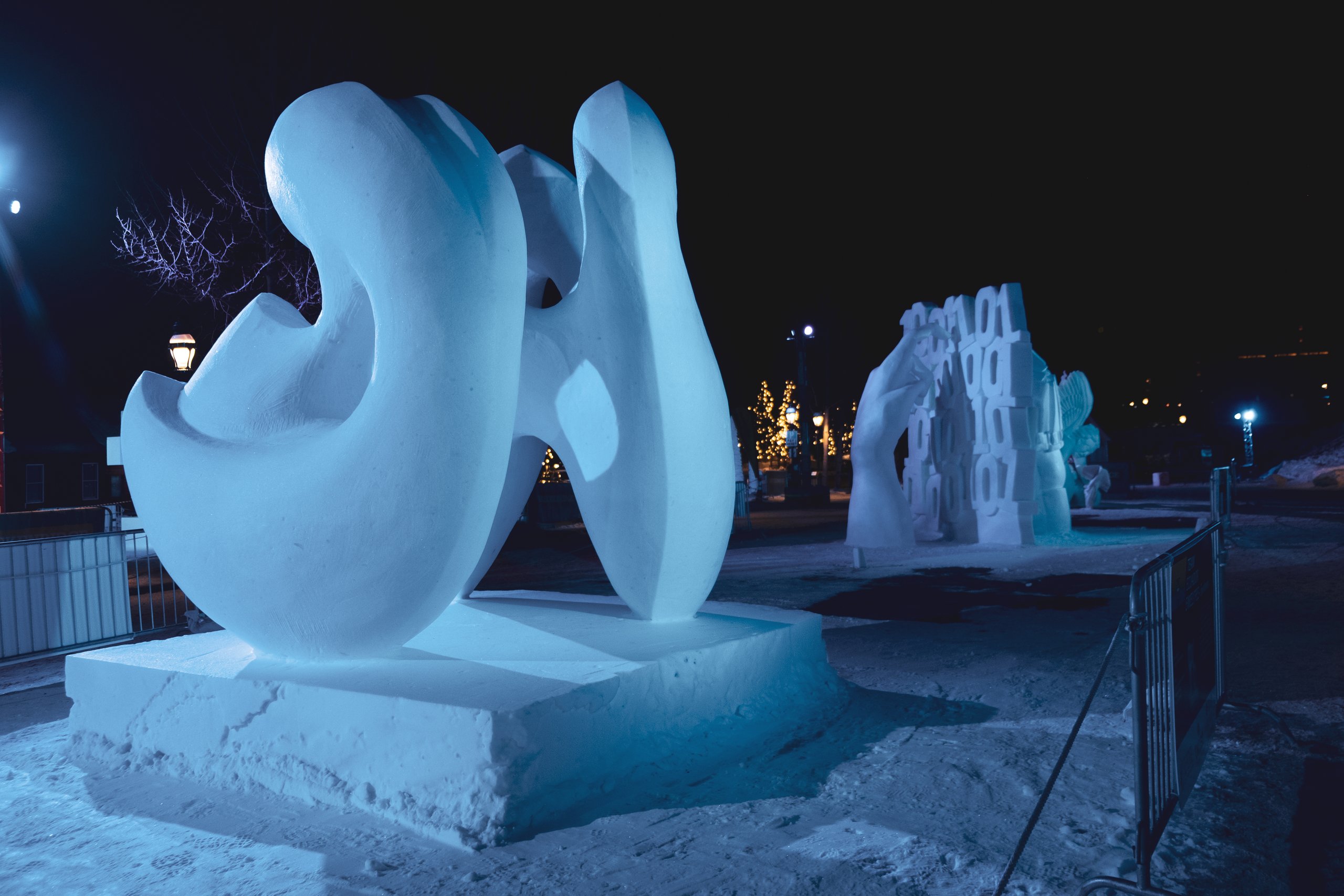 Snow Sculptures photograph by Craig Goodwin