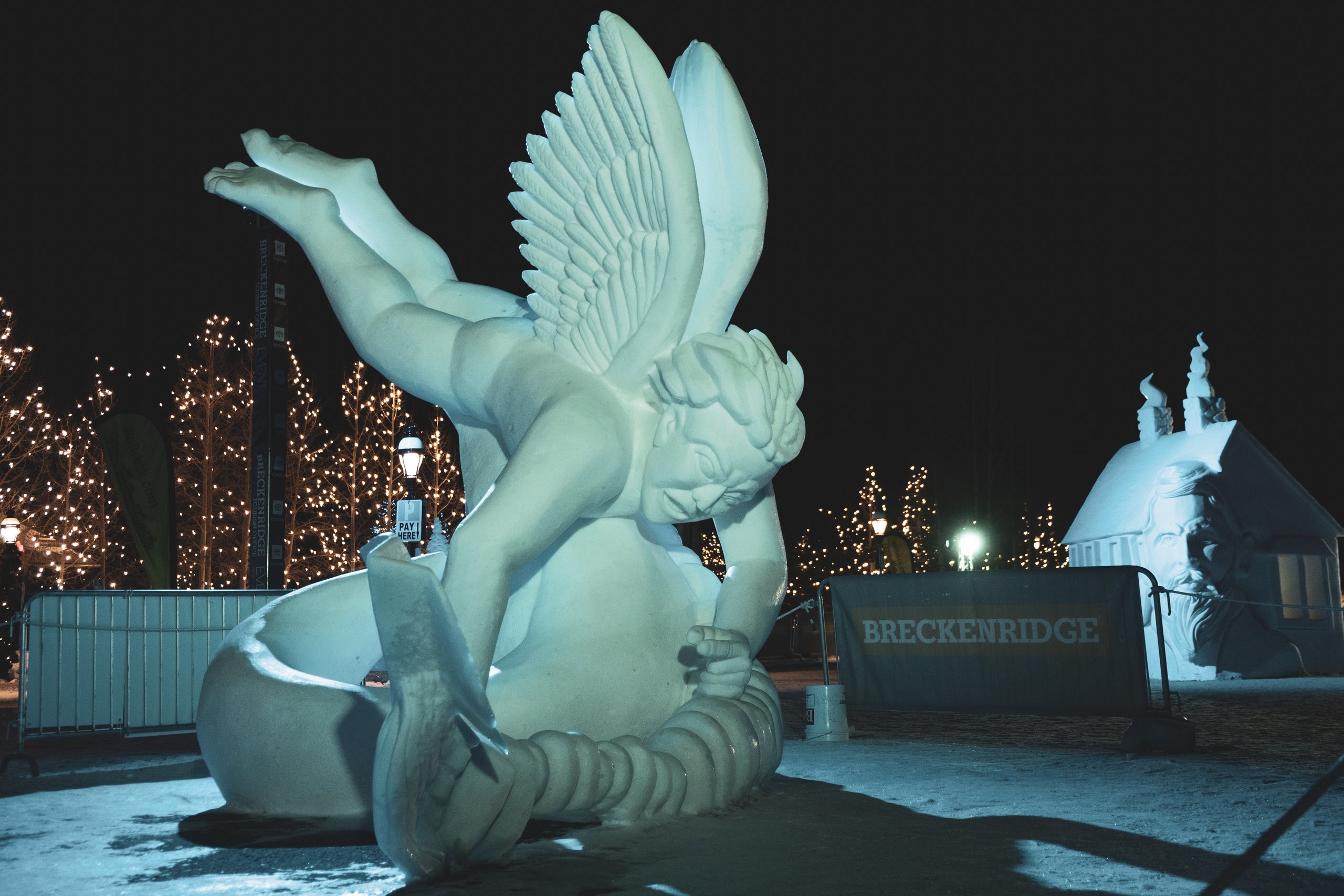 Snow Sculptures photograph by Craig Goodwin