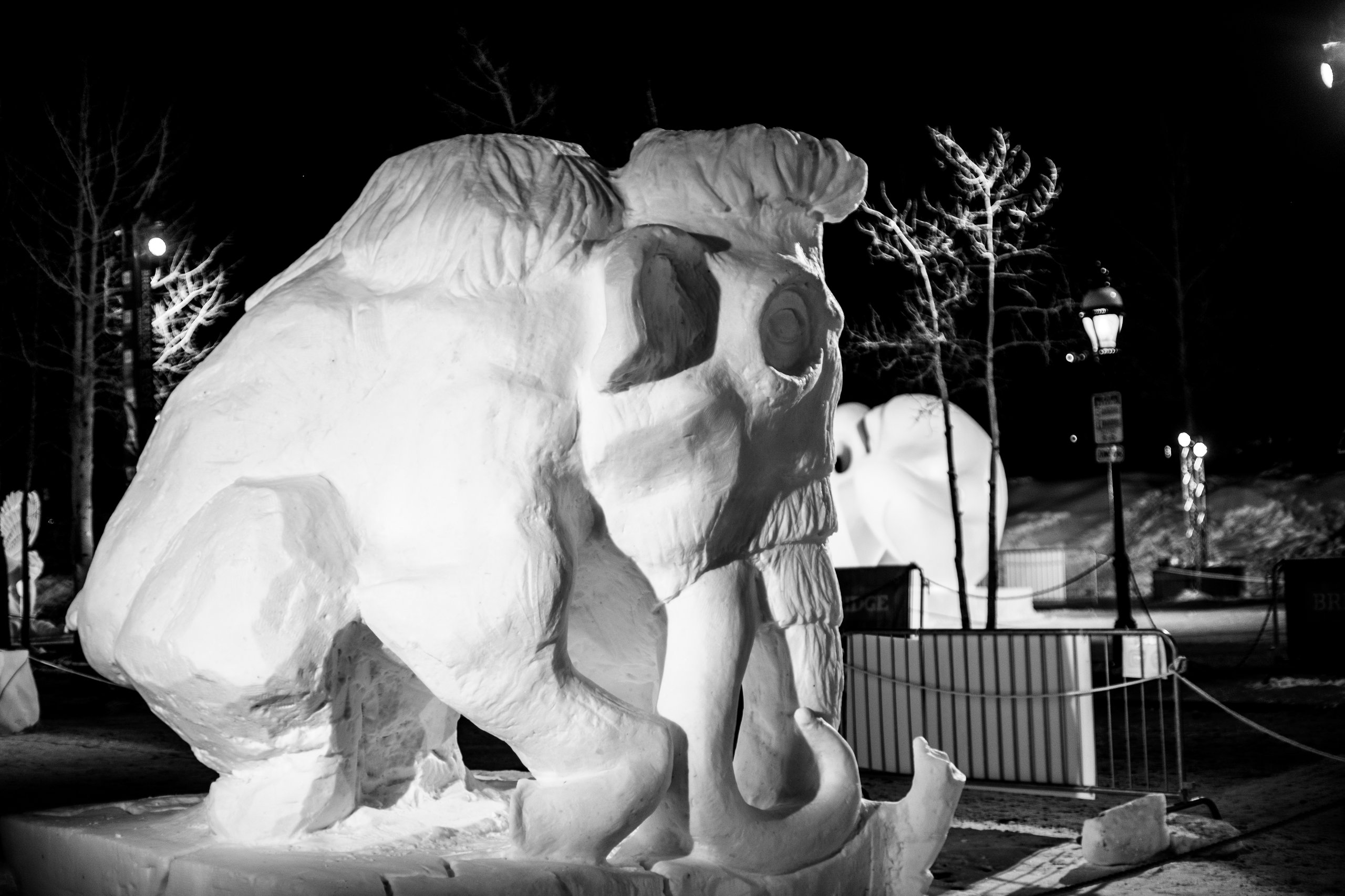 Snow Sculptures photograph by Craig Goodwin