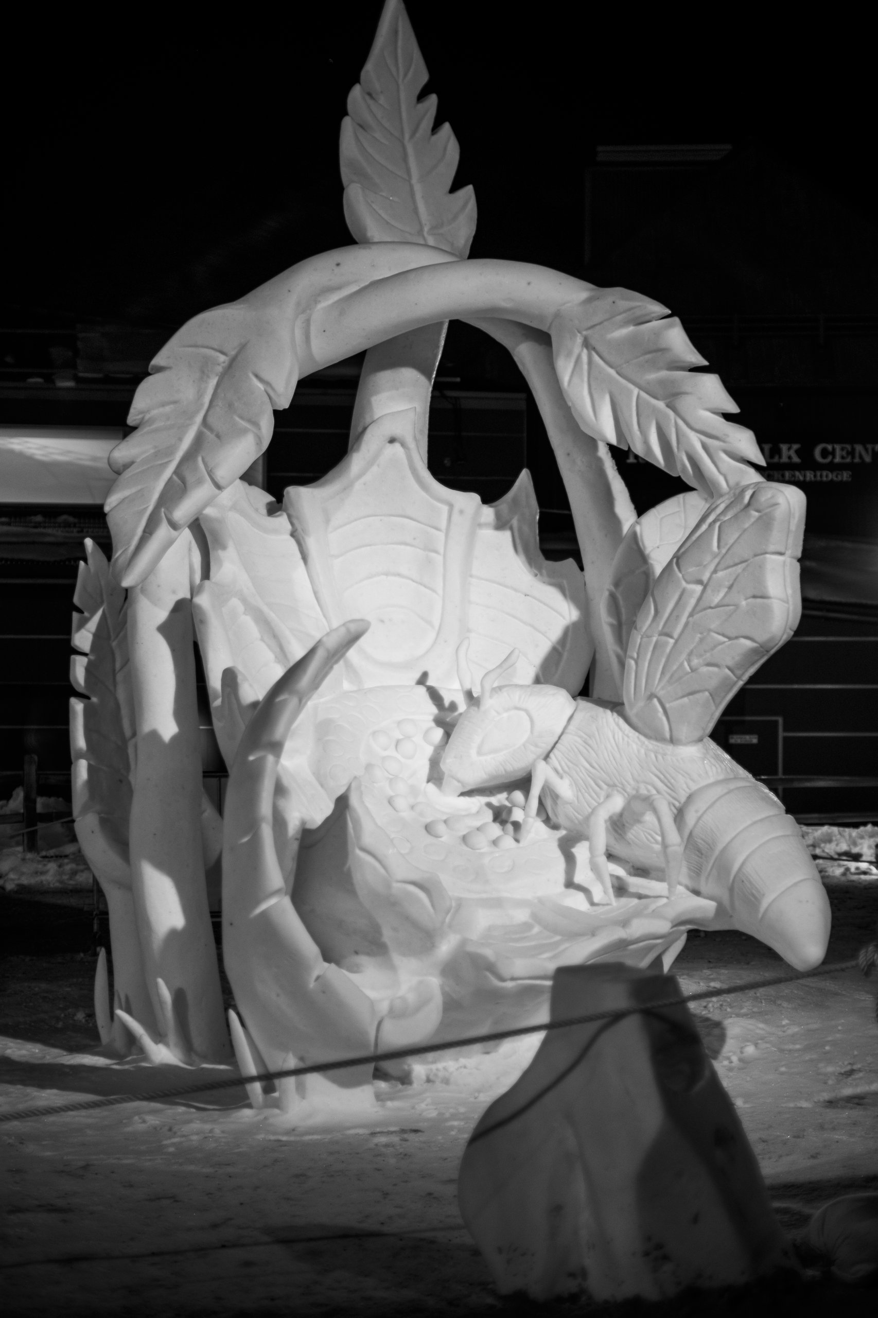 Snow Sculptures photograph by Craig Goodwin