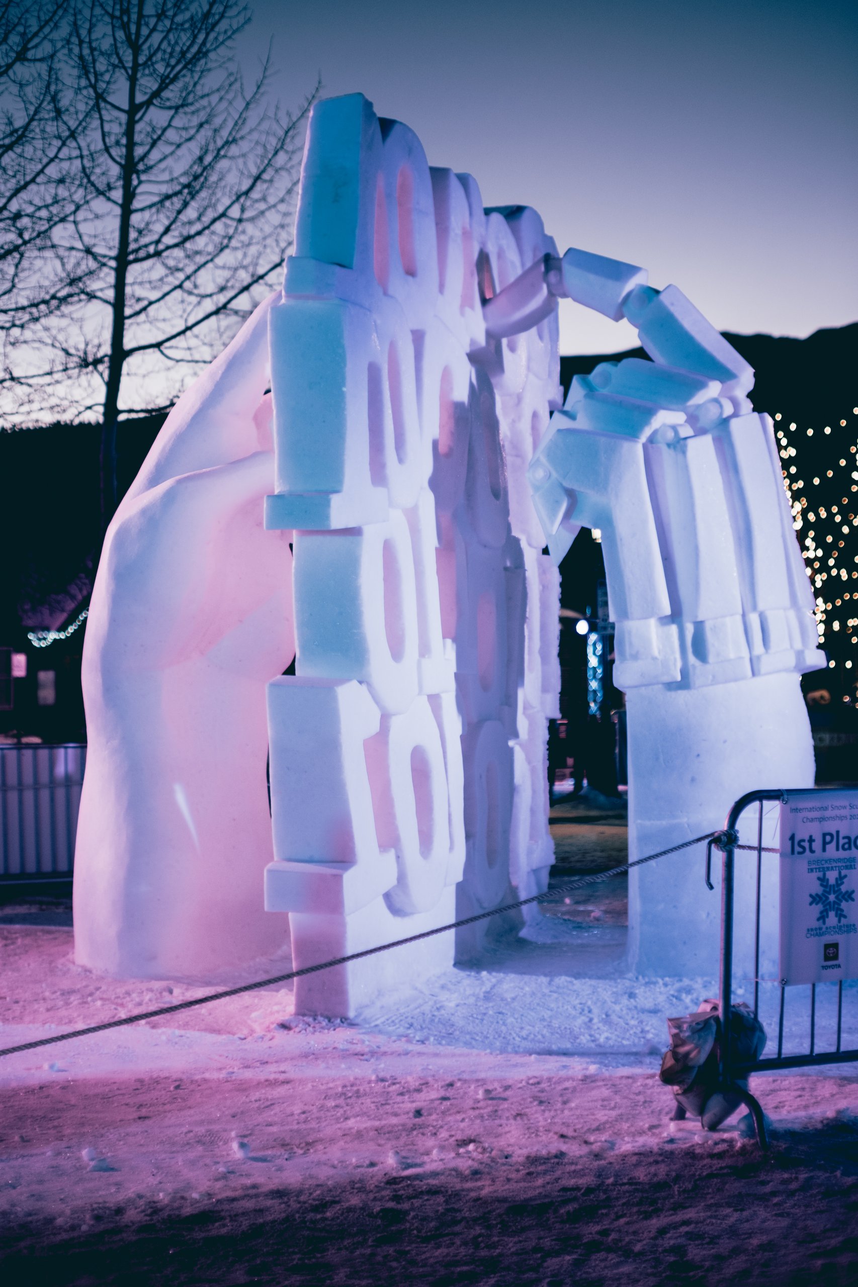 Snow Sculptures photograph by Craig Goodwin