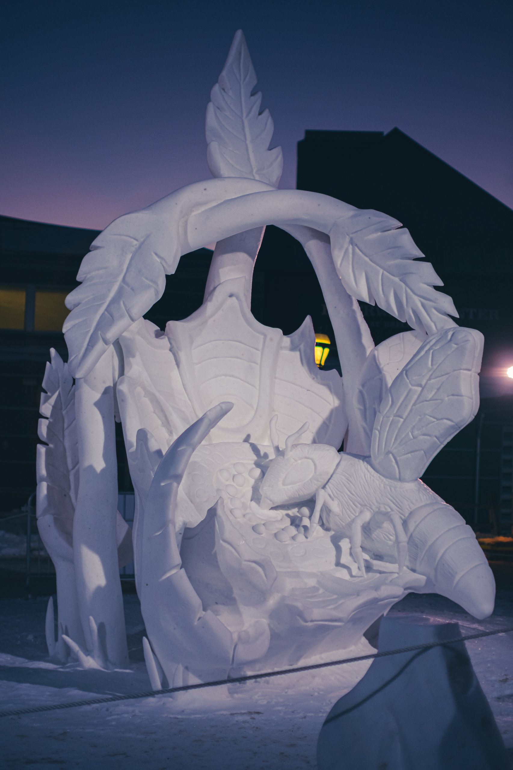Snow Sculptures photograph by Craig Goodwin