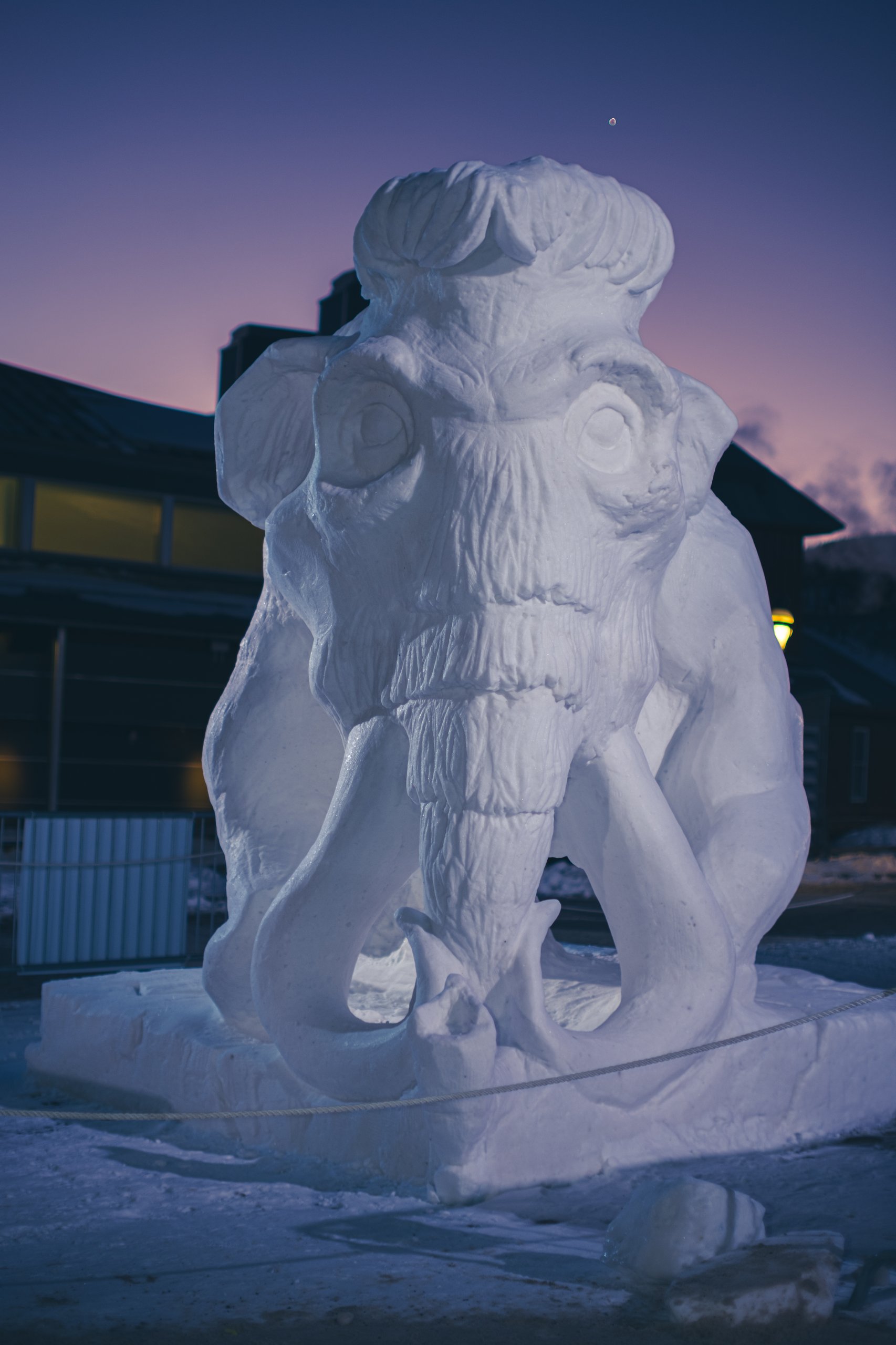 Snow Sculptures photograph by Craig Goodwin