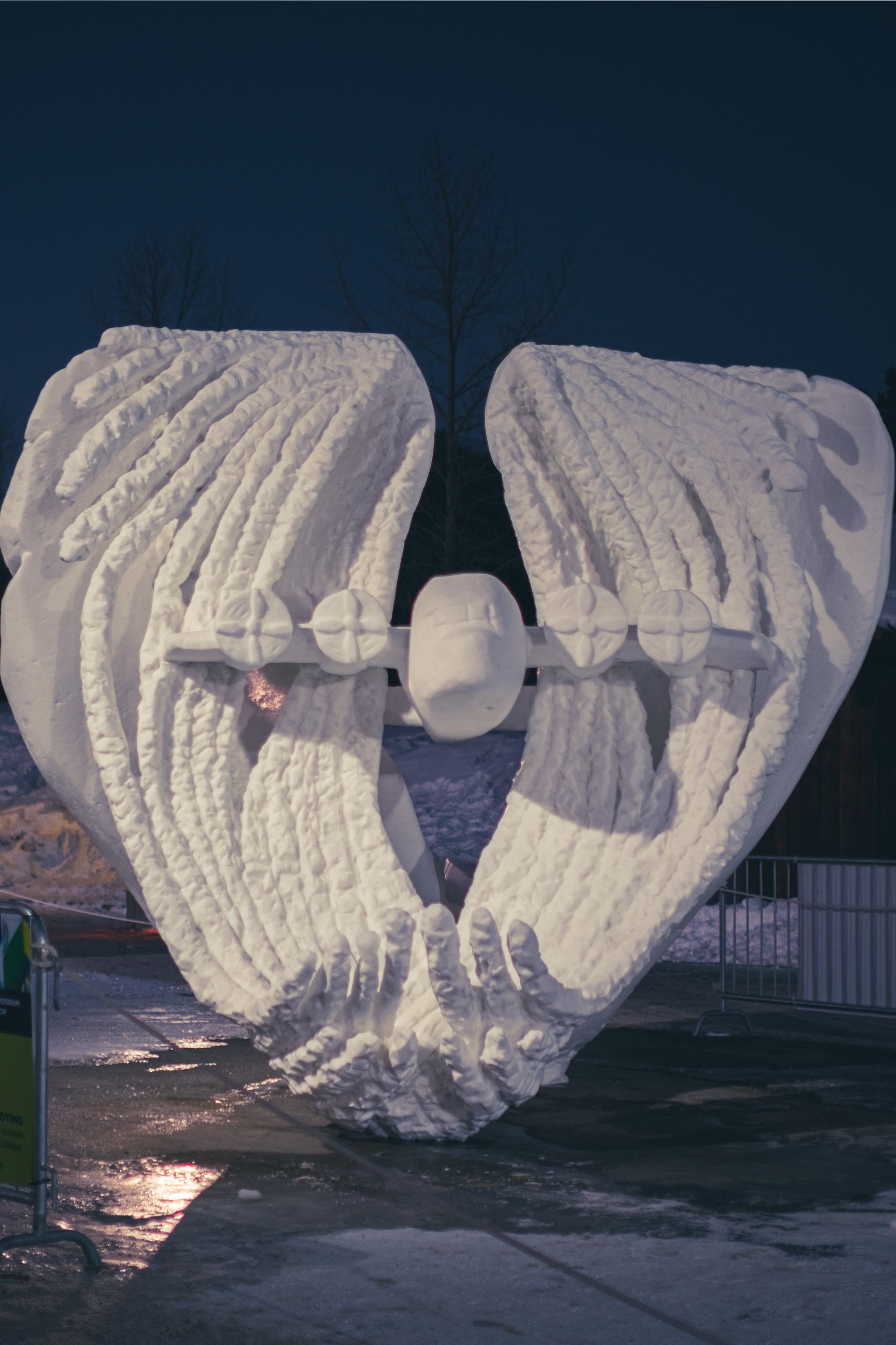 Snow Sculptures photograph by Craig Goodwin