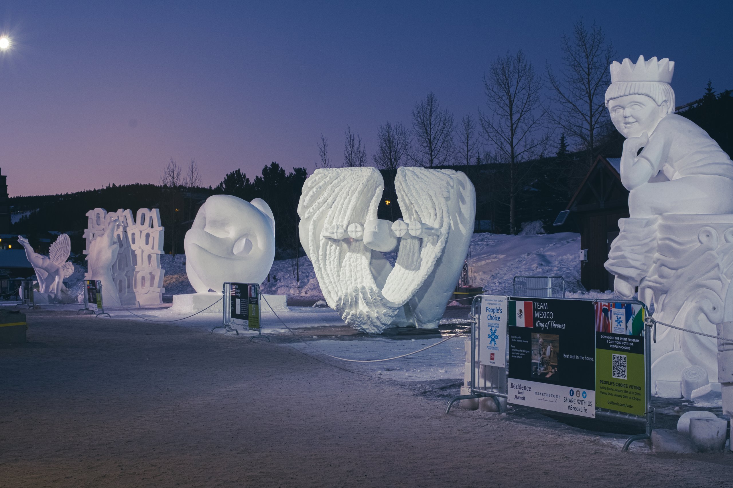 Snow Sculptures photograph by Craig Goodwin