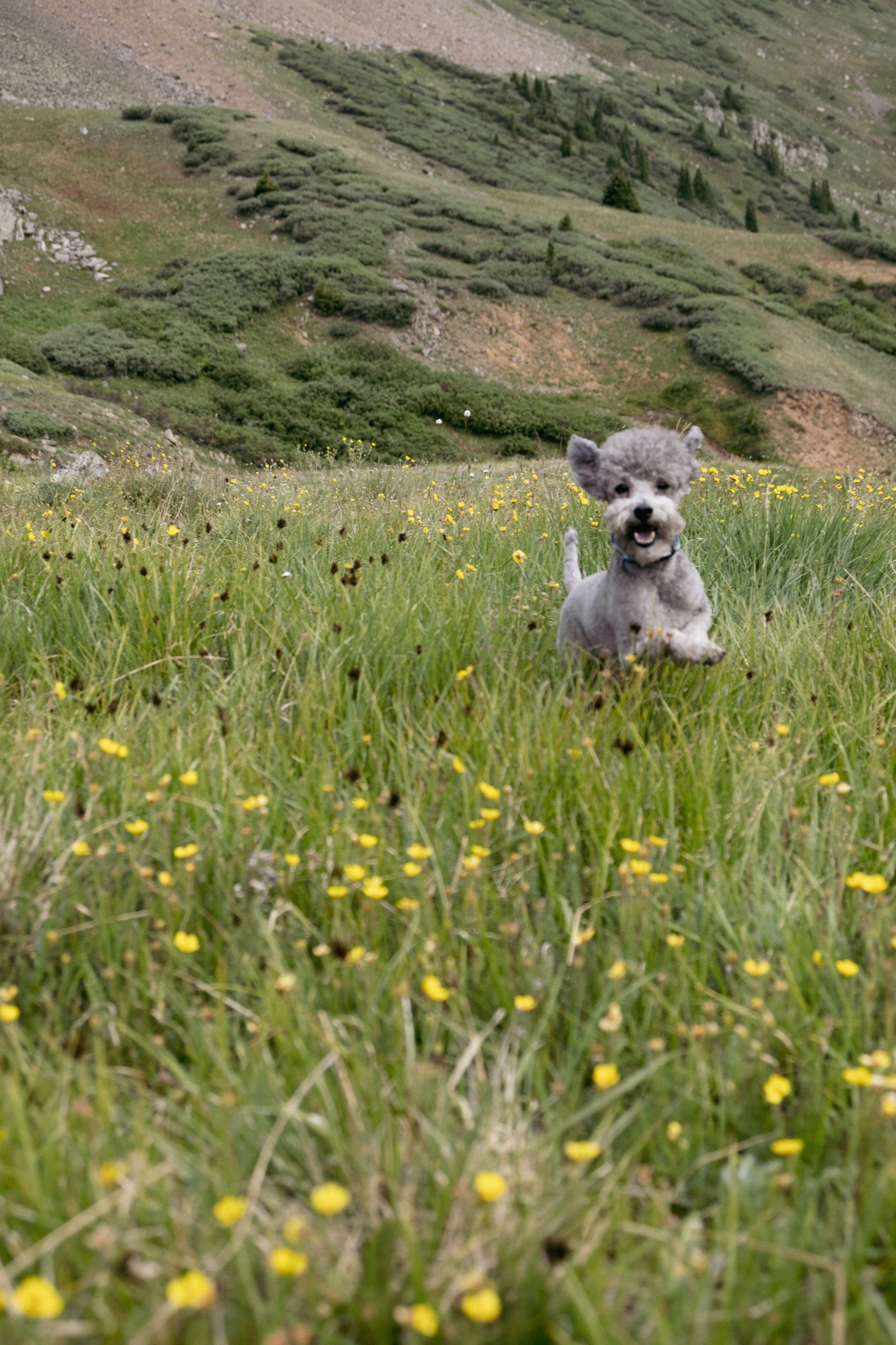 Wildlife photograph by Craig Goodwin