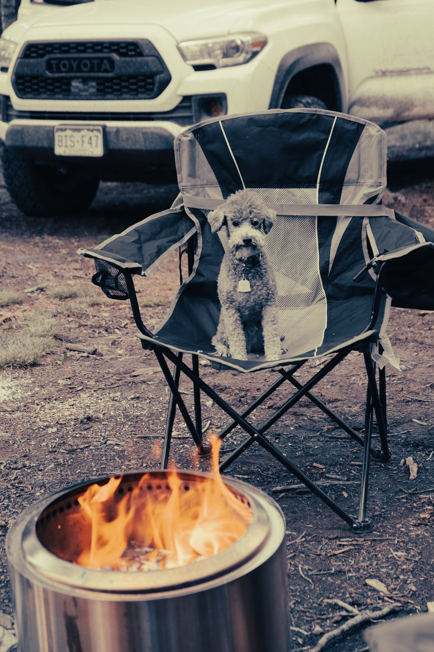 Wildlife photograph by Craig Goodwin