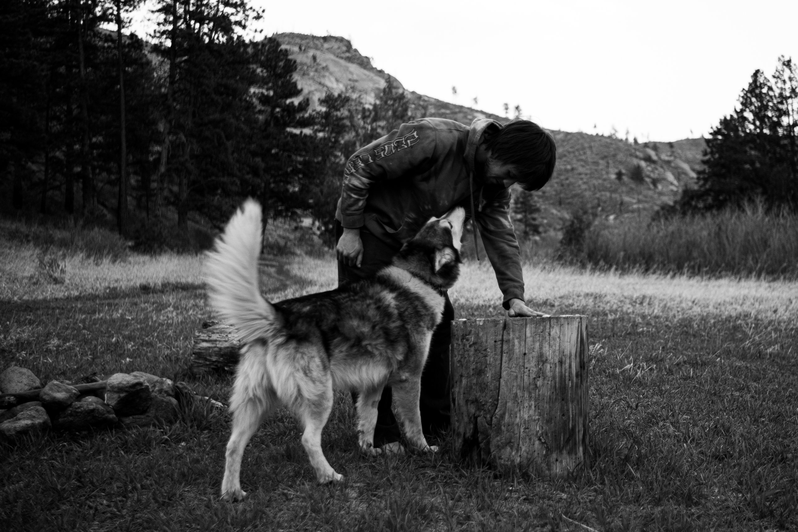 Wildlife photograph by Craig Goodwin