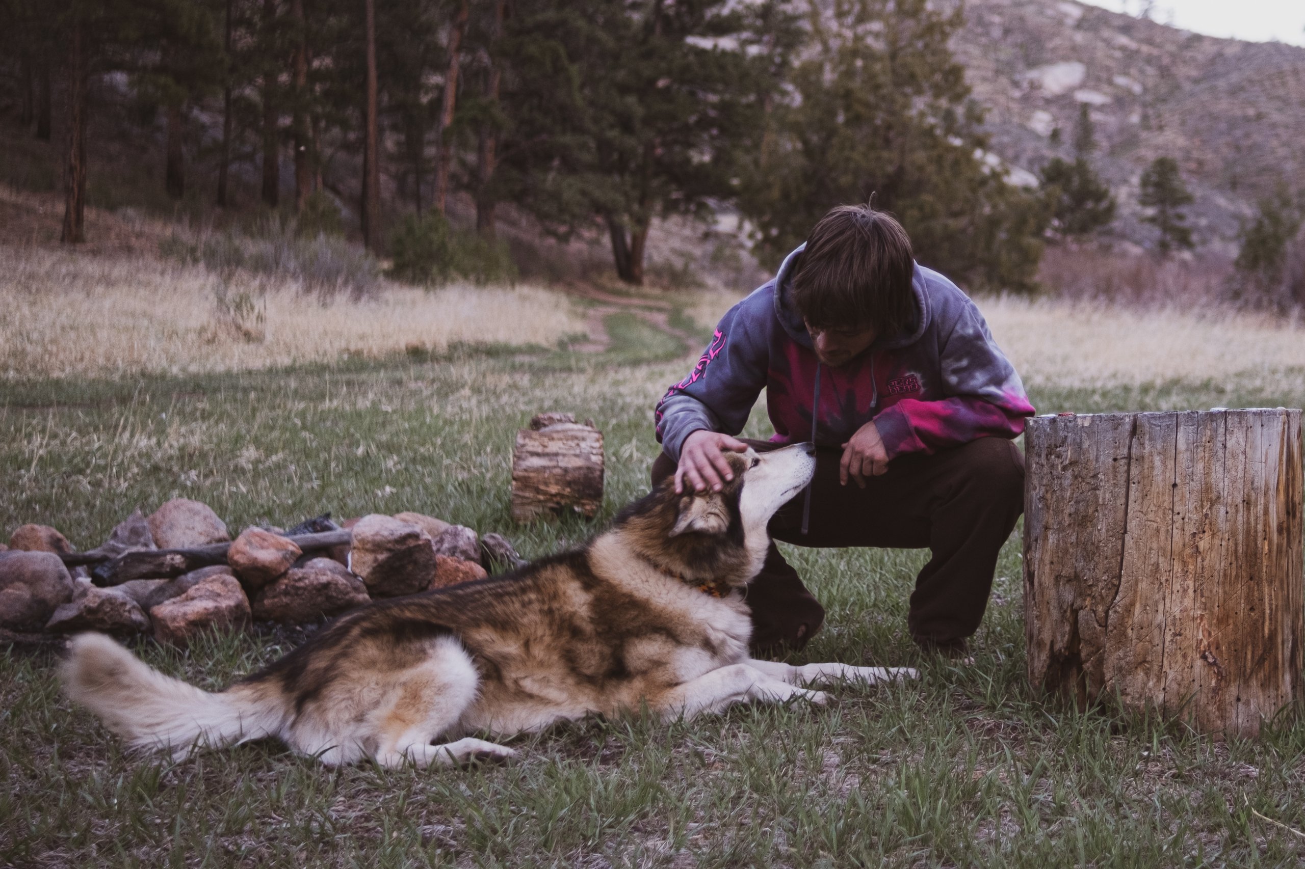 Wildlife photograph by Craig Goodwin